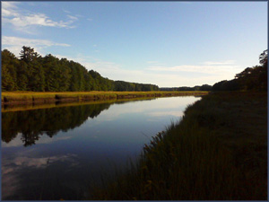 still water with reflected evergreen and a few small white clouds